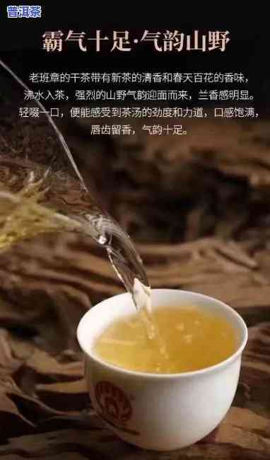 老班章茶农121号茶露伲，探索云南老班章的韵味：茶农121号茶露的评测与分享