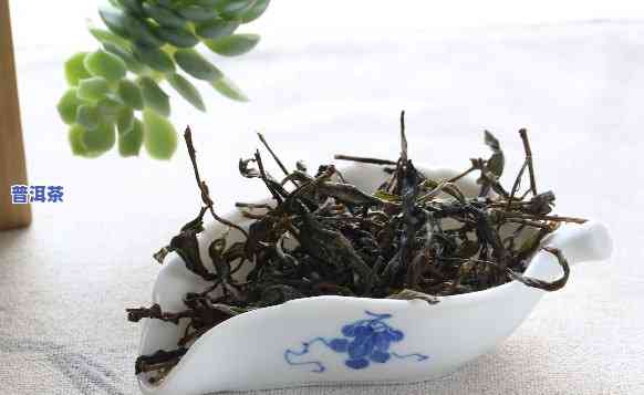 饼茶还是散茶普洱茶好喝-饼茶还是散茶普洱茶好喝一点