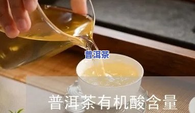 普洱茶有机酸还是无机酸-普洱茶有机酸还是无机酸好