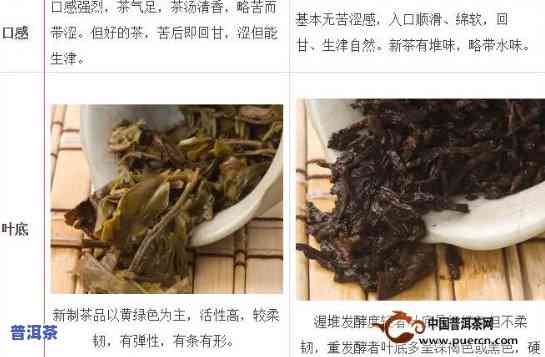 中寨普洱茶属于哪种茶类，探讨中寨普洱茶的茶类归属