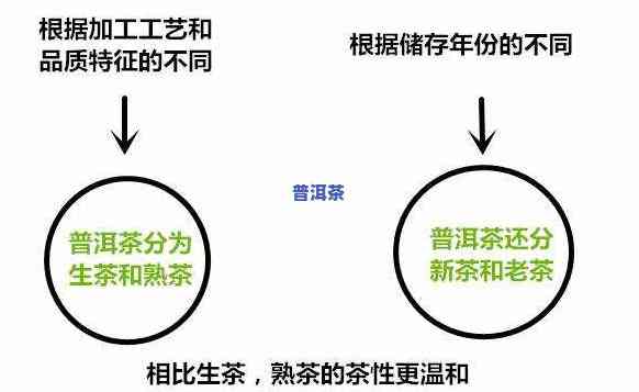 普洱是温性还是寒性茶？熟悉其属性及冲泡方法