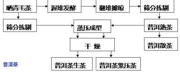 普洱茶全程制作工艺视频大全教程与图片详解