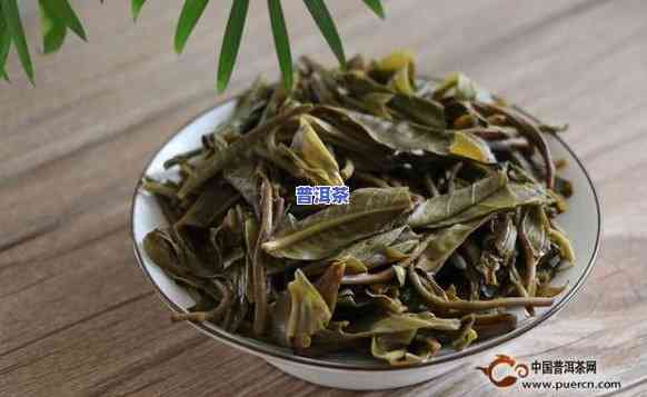 老班章古树茶的功效与作用，探秘老班章古树茶：功效与作用解析