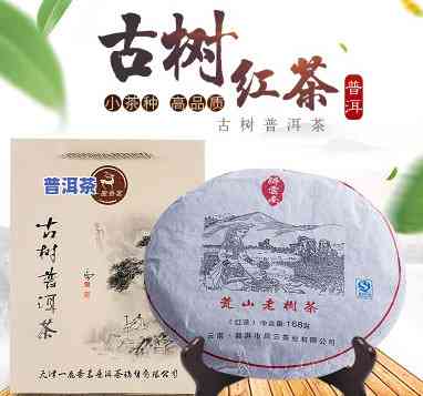 湛江古树普洱茶批发价格-湛江古树普洱茶批发价格表