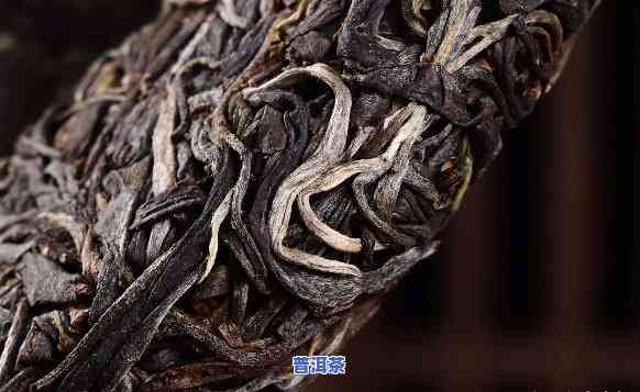 中寨普洱茶属于哪种茶系别？探讨其种类与特点