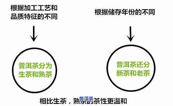 普洱是寒性还是温性茶？熟悉其属性与功效