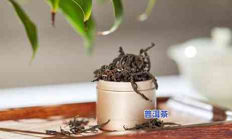 普洱茶研究论文，探究普洱茶的奥秘：一项深入的研究论文