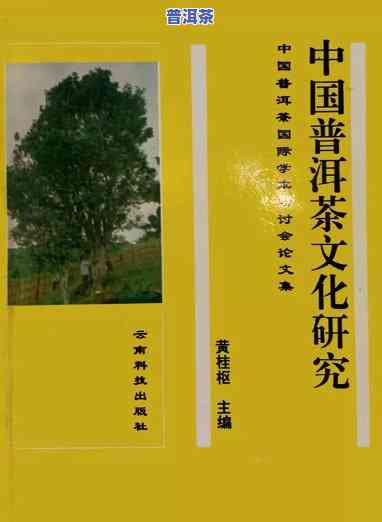 普洱茶发展摘要文献资料-普洱茶发展摘要文献资料怎么写