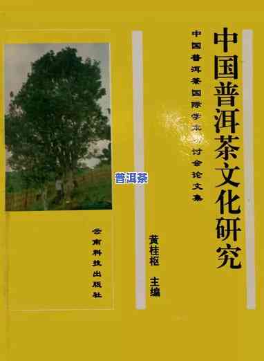 普洱茶发展摘要文献综述-普洱茶发展摘要文献综述怎么写