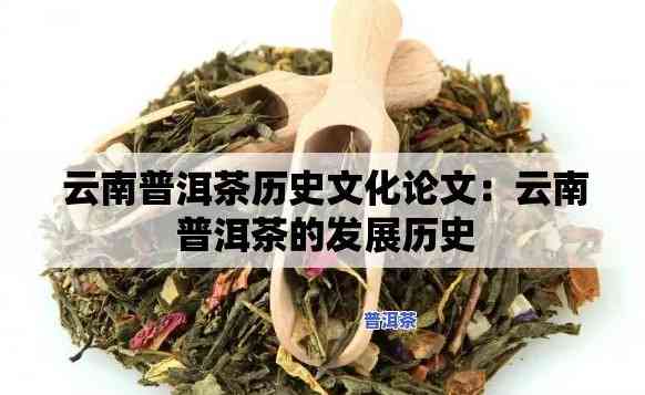 普洱茶发展摘要文献综述-普洱茶发展摘要文献综述怎么写