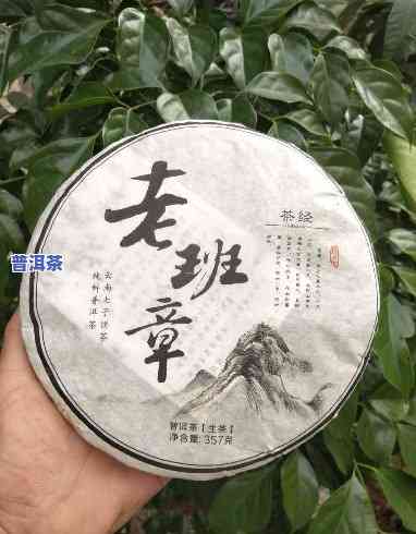 百年老班章2017，品味历史韵味：百年老班章2017普洱茶的魅力