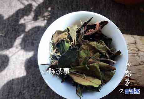 喝普洱好还是红茶好-喝普洱好还是红茶好呢