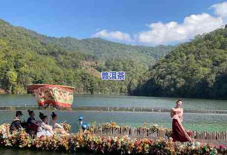 普洱茶的地域越分越细吗-普洱茶的地域越分越细吗为什么