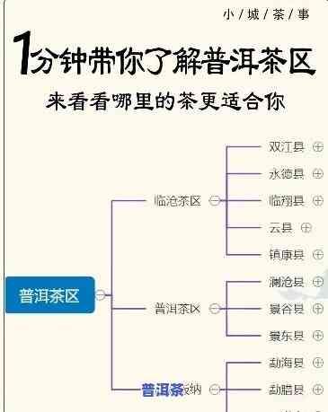 普洱茶级别顺序：从1到8的详细解析及颜色分类