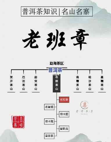 老班章文化发展：官网、基本账号一览