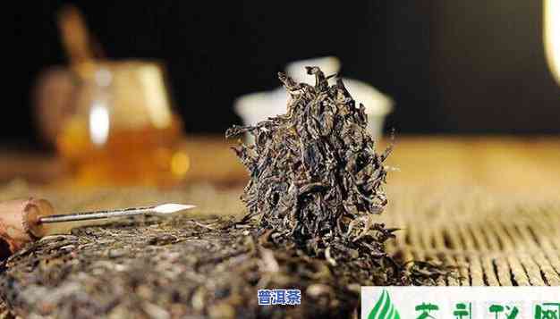 普洱茶的原料究竟是什么？深入熟悉其来源与制作过程