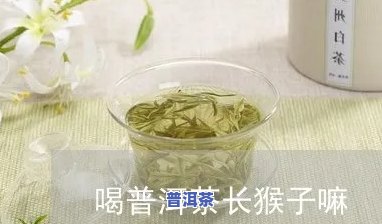 喝普洱茶长猴子怎么办呀-喝普洱茶长猴子怎么办呀图片