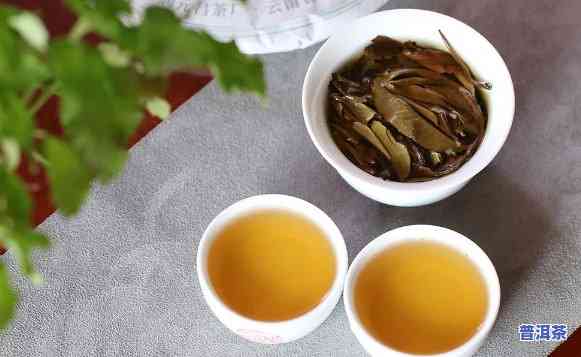 普洱茶是红茶类的吗，普洱茶属于红茶类吗？探究其分类和特点