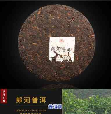 郎河普洱茶特色介绍图片-郎河普洱茶特色介绍图片大全