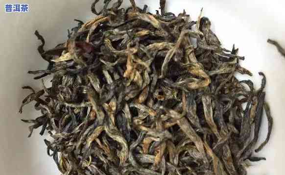 福鼎资深普洱茶招商-福鼎资深普洱茶招商电话