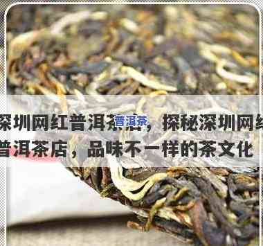 深圳普洱茶场，探索深圳普洱茶场：品味茶文化的魅力