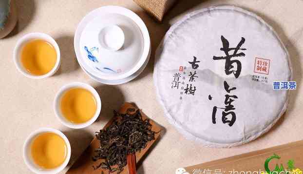 普洱茶包装纸视频，探究普洱茶的奥秘：揭开包装纸背后的秘密