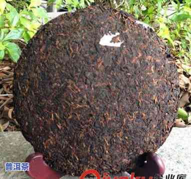 老班章2006熟茶-老班章2006熟茶价格