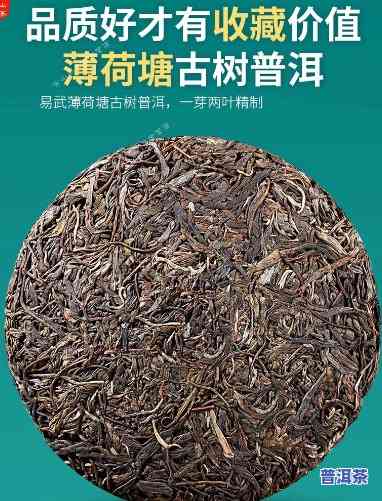 普洱茶薄荷糖价格查询：多少钱一斤？