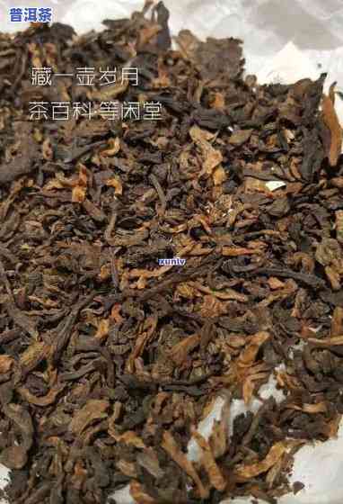 熟普洱茶的品质：多少克？价格怎样？一斤约多少钱？