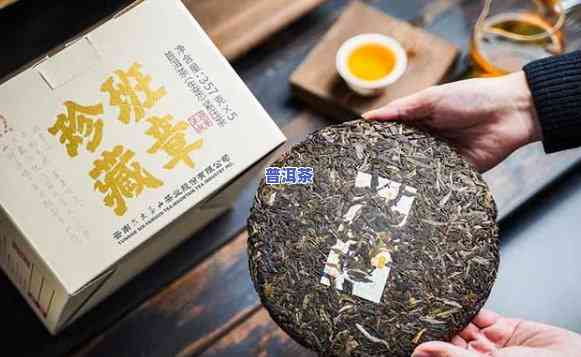 六大茶山班章野生茶典藏品，珍稀无比：六大茶山班章野生茶典藏品，品味大自然的馈赠