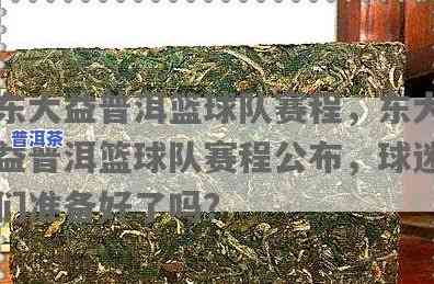 东莞大益普洱篮球队在哪，探寻东莞大益普洱篮球队的主场在哪里？