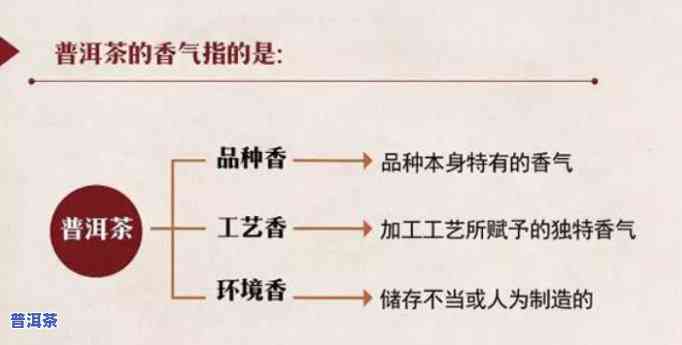 普洱分为哪几种香型？看图熟悉！