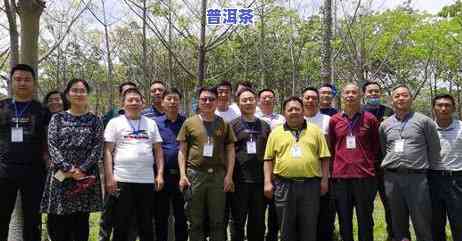 普洱茶国际市场现状怎样-普洱茶国际市场现状怎样分析