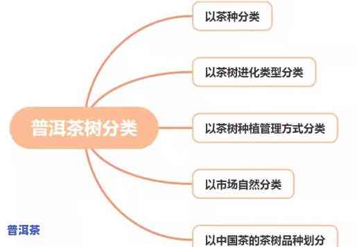 普洱茶更佳分类方法详解，图文视频教程全攻略