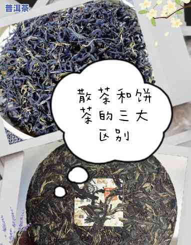 普洱茶的正确分茶方法：饼茶与散茶的区别与技巧