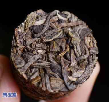 普洱茶一支含多少片茶叶？