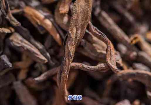 单支普洱茶价格多少一斤-单支普洱茶价格多少一斤啊