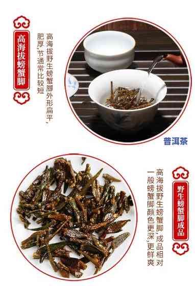 普洱茶螃蟹脚百科：功效、作用及详细解析