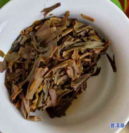 大益普洱口粮茶推荐-大益普洱茶口粮茶系列介绍