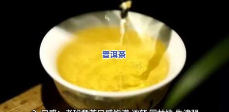 老班章与冰岛普洱茶的区别及价格比较