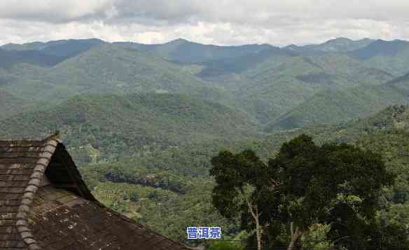 在老班章附近的山脉-老班章附近的山头