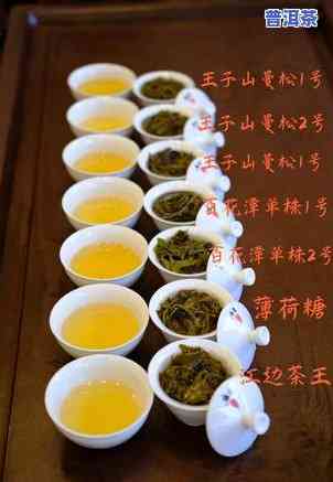 普洱薄荷糖是什么茶，探秘口感特别的普洱薄荷糖：它真的是一种茶吗？