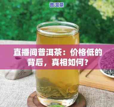 附近的直播间推荐普洱茶-附近的直播间推荐普洱茶是真的吗