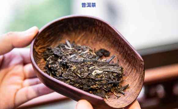 家庭收藏普洱茶：密封还是敞开好？