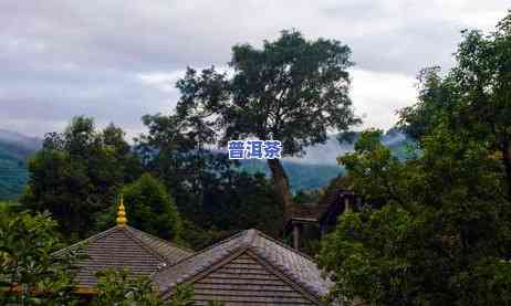 老班章茶区有哪些山头，探寻老班章茶区的神秘山头