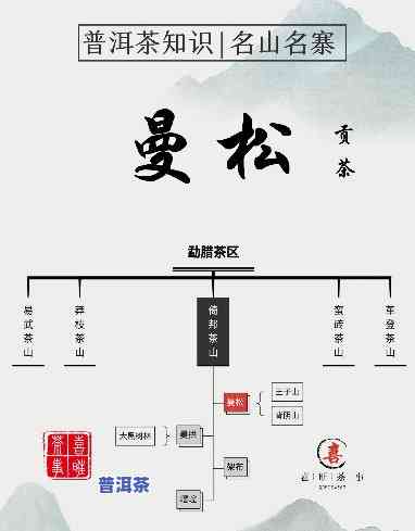 普洱茶曼松产区特点是啥呢，「揭秘」普洱茶曼松产区特点，你熟悉多少？