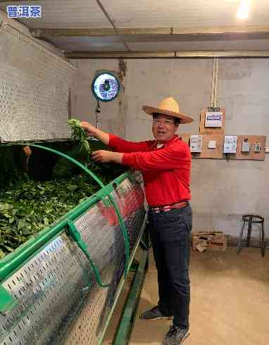 勐海洪海茶厂，探访勐海洪海茶厂：揭秘领导下的茶叶制作工艺和经营理念