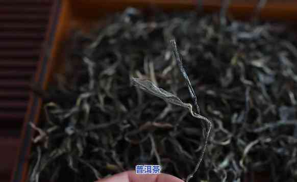 老班章：究竟何处的茶叶品质更佳、口感最纯正？