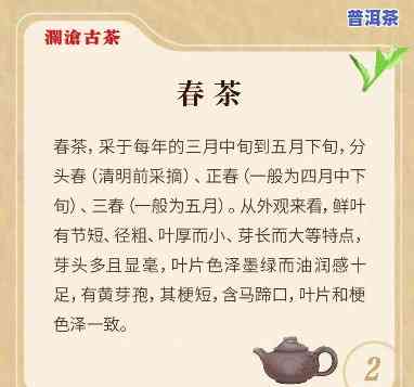 云南普洱茶春夏秋冬区别-云南普洱茶春夏秋冬区别图片