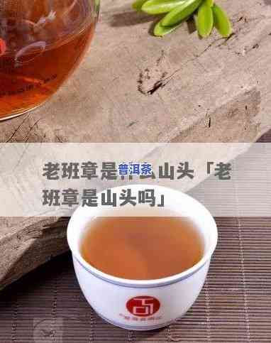 老班章茶是哪个山头-老班章是哪个山头的茶